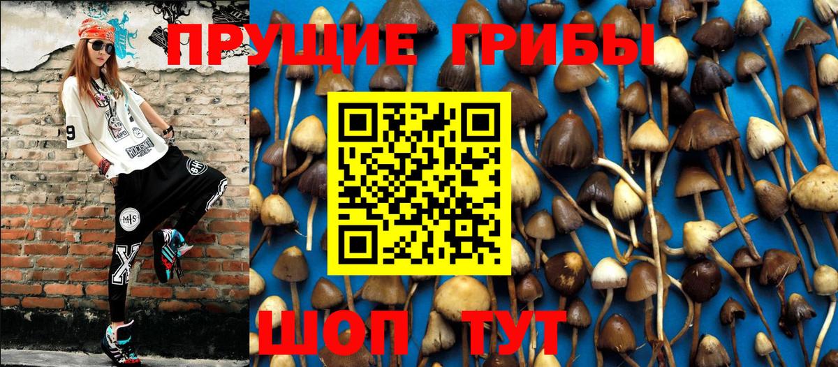 где можно купить наркотик  Псилоцибиновые грибы Magic Shrooms  Вход с VPN  Строитель 